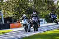 Middle Group Silver_Grey Bikes